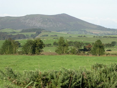 The Bog in England