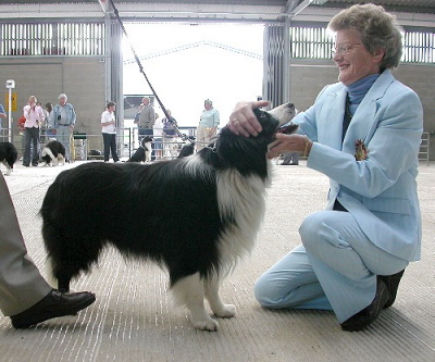 Clan Abby NZ Doug's Storm at Borderbreeze